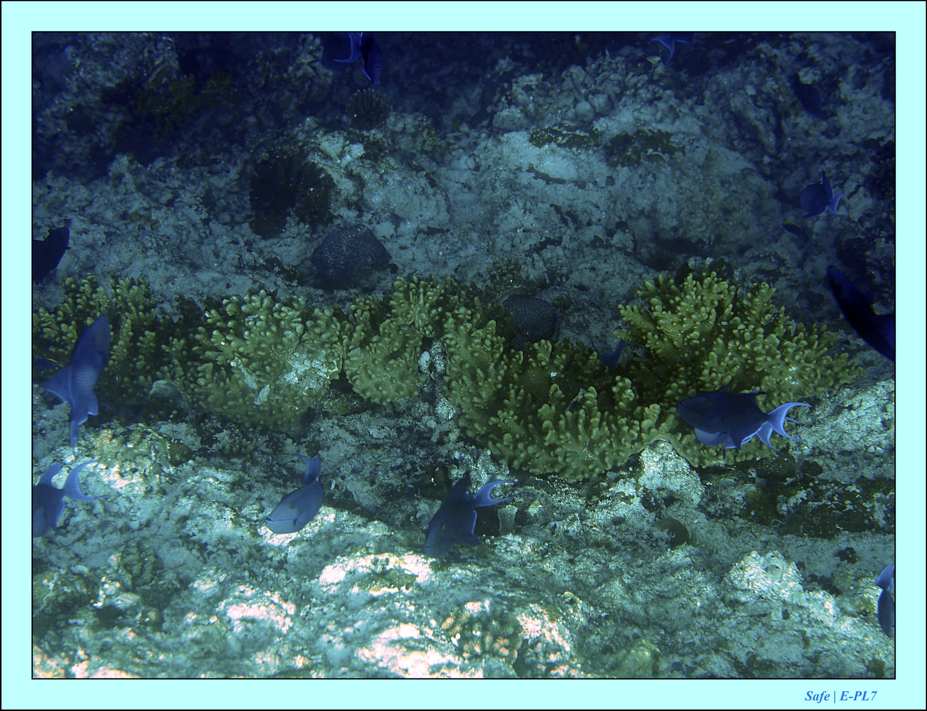 2023 - 07 - Sandies Bathala - 140